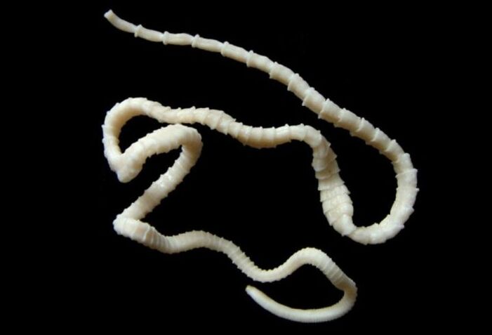 Banda este largă